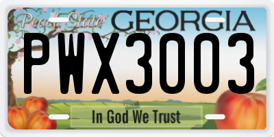 GA license plate PWX3003