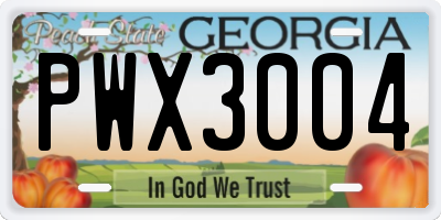 GA license plate PWX3004