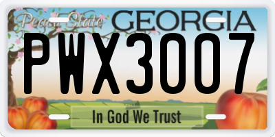 GA license plate PWX3007
