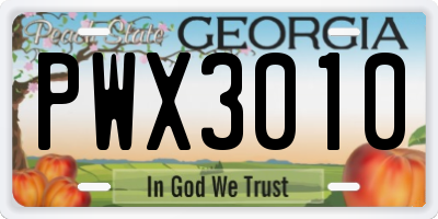 GA license plate PWX3010