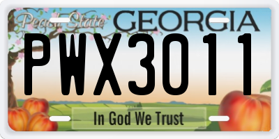 GA license plate PWX3011