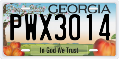 GA license plate PWX3014