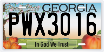 GA license plate PWX3016
