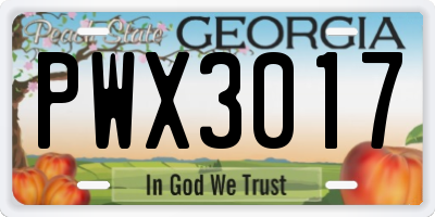 GA license plate PWX3017