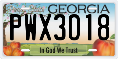 GA license plate PWX3018