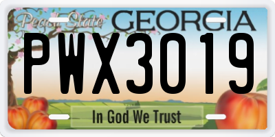 GA license plate PWX3019