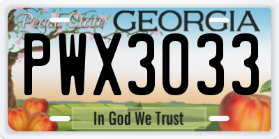 GA license plate PWX3033