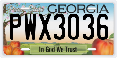 GA license plate PWX3036