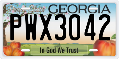 GA license plate PWX3042