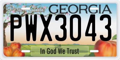 GA license plate PWX3043
