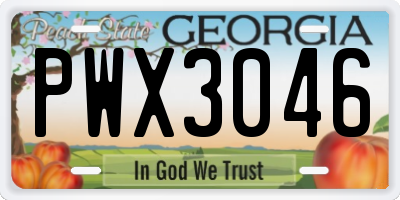GA license plate PWX3046