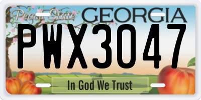 GA license plate PWX3047