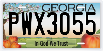 GA license plate PWX3055