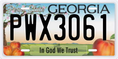 GA license plate PWX3061