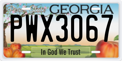 GA license plate PWX3067