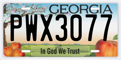 GA license plate PWX3077