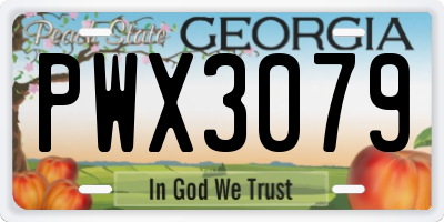 GA license plate PWX3079