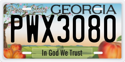 GA license plate PWX3080