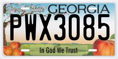 GA license plate PWX3085