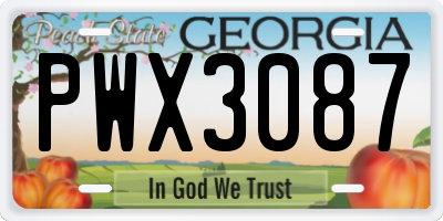 GA license plate PWX3087