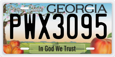 GA license plate PWX3095