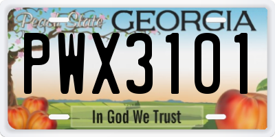 GA license plate PWX3101