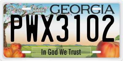 GA license plate PWX3102