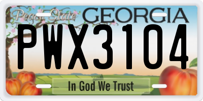 GA license plate PWX3104