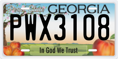 GA license plate PWX3108