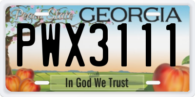 GA license plate PWX3111