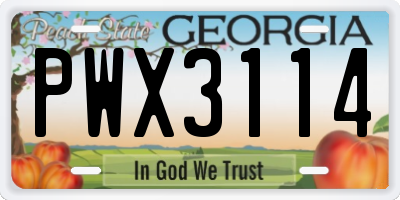 GA license plate PWX3114