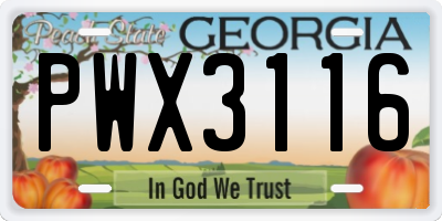 GA license plate PWX3116