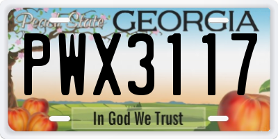 GA license plate PWX3117