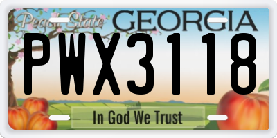 GA license plate PWX3118