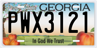 GA license plate PWX3121