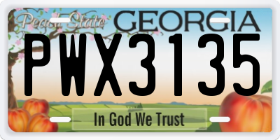 GA license plate PWX3135