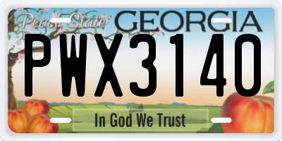 GA license plate PWX3140