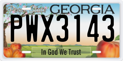 GA license plate PWX3143