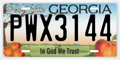 GA license plate PWX3144