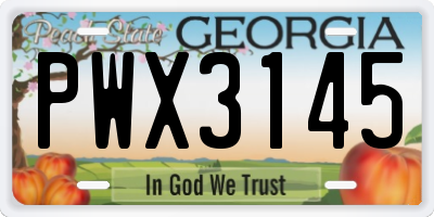 GA license plate PWX3145