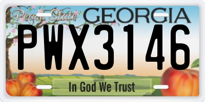 GA license plate PWX3146