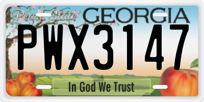 GA license plate PWX3147
