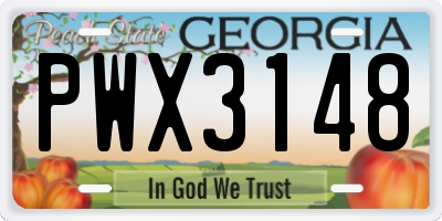 GA license plate PWX3148