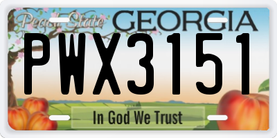 GA license plate PWX3151