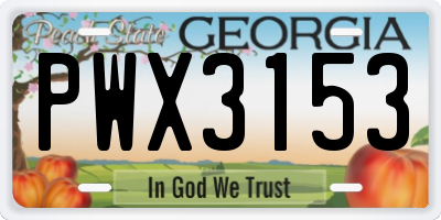 GA license plate PWX3153