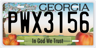 GA license plate PWX3156