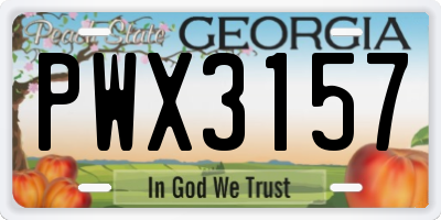 GA license plate PWX3157