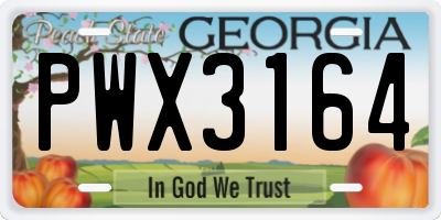 GA license plate PWX3164