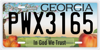 GA license plate PWX3165