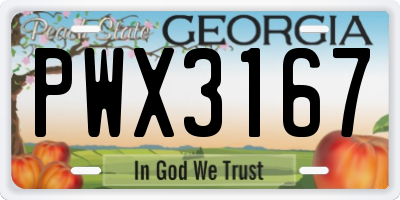 GA license plate PWX3167